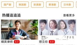 苍蝇小妹爆料视频下载,下载背后的故事